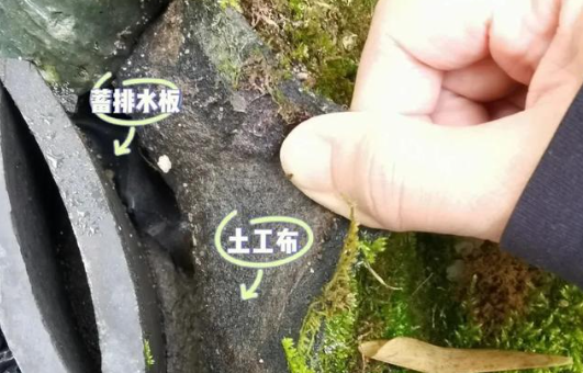 QQ20250527-102431.png