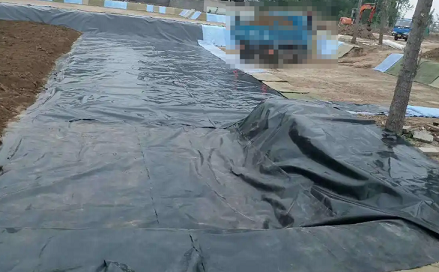 1768184456593686.png QQ20260112-101447.png